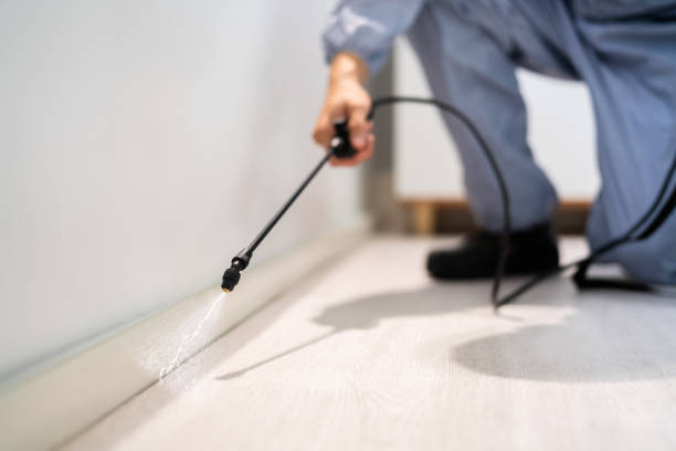Licensed Pest Control service in Curtice, OH - Show Me Pest Control