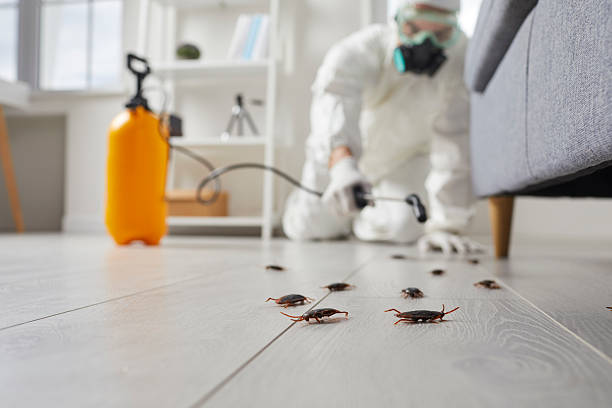Post-Treatment Bed Bug Interceptor Monitoring in Curtice