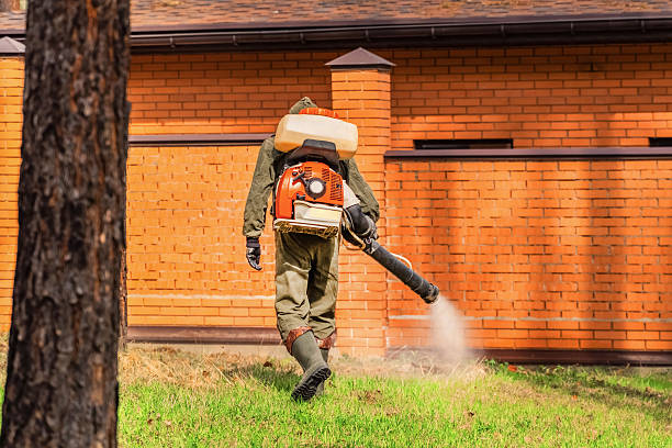 Bed Bug Clearance Verification and Documentation in Curtice